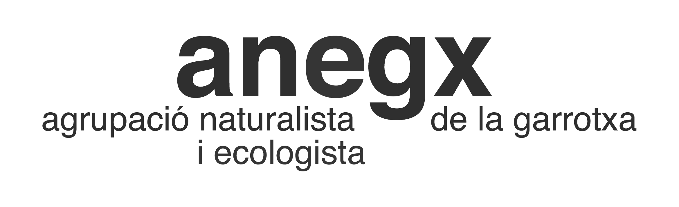 anegx bn.png